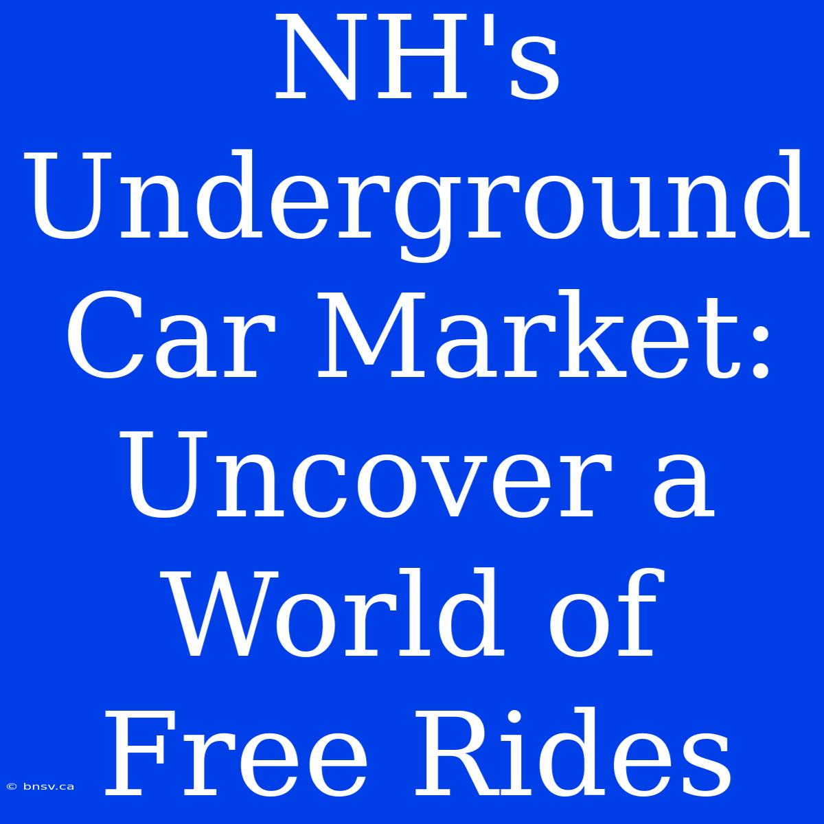 NH's Underground Car Market: Uncover A World Of Free Rides