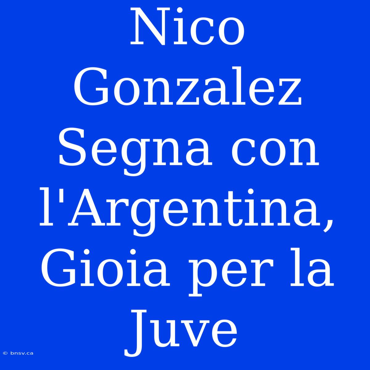 Nico Gonzalez Segna Con L'Argentina, Gioia Per La Juve