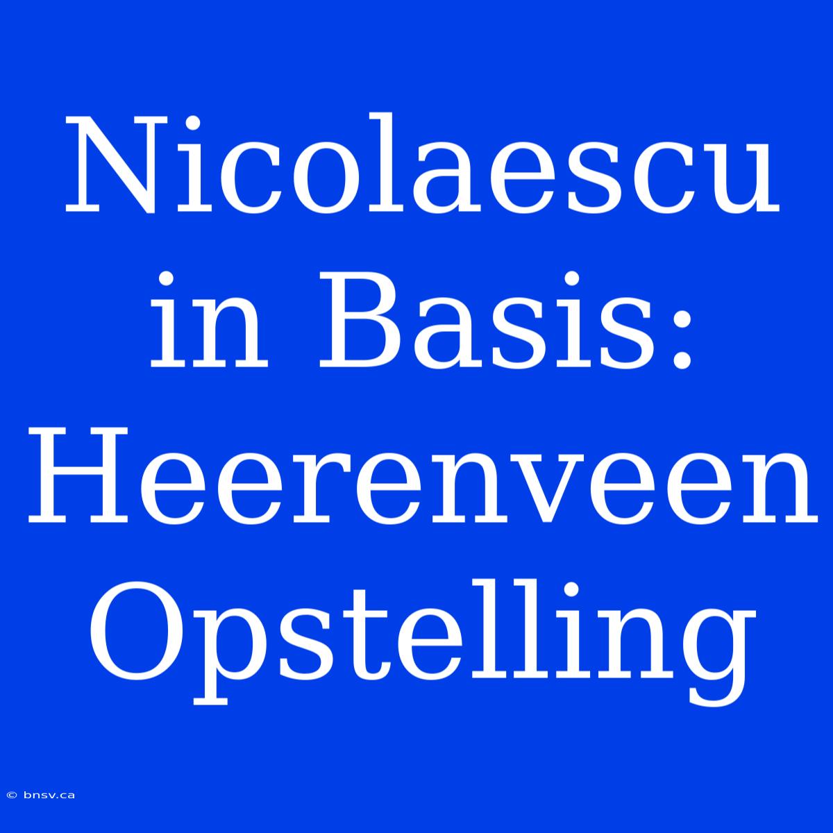 Nicolaescu In Basis: Heerenveen Opstelling