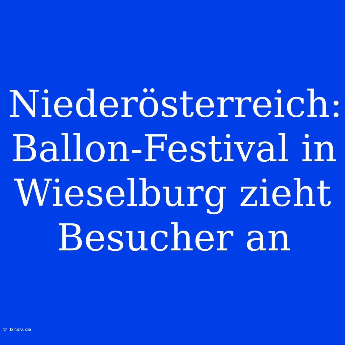 Niederösterreich: Ballon-Festival In Wieselburg Zieht Besucher An