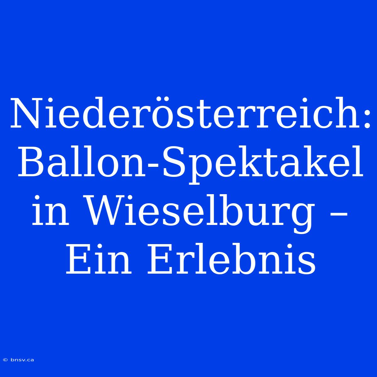 Niederösterreich: Ballon-Spektakel In Wieselburg – Ein Erlebnis