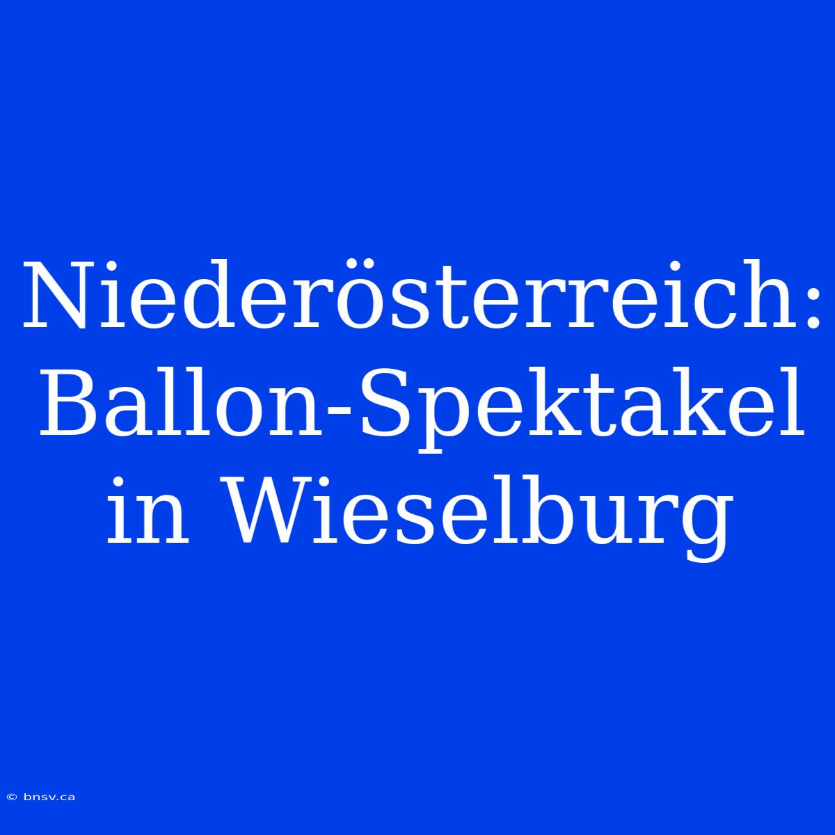 Niederösterreich: Ballon-Spektakel In Wieselburg