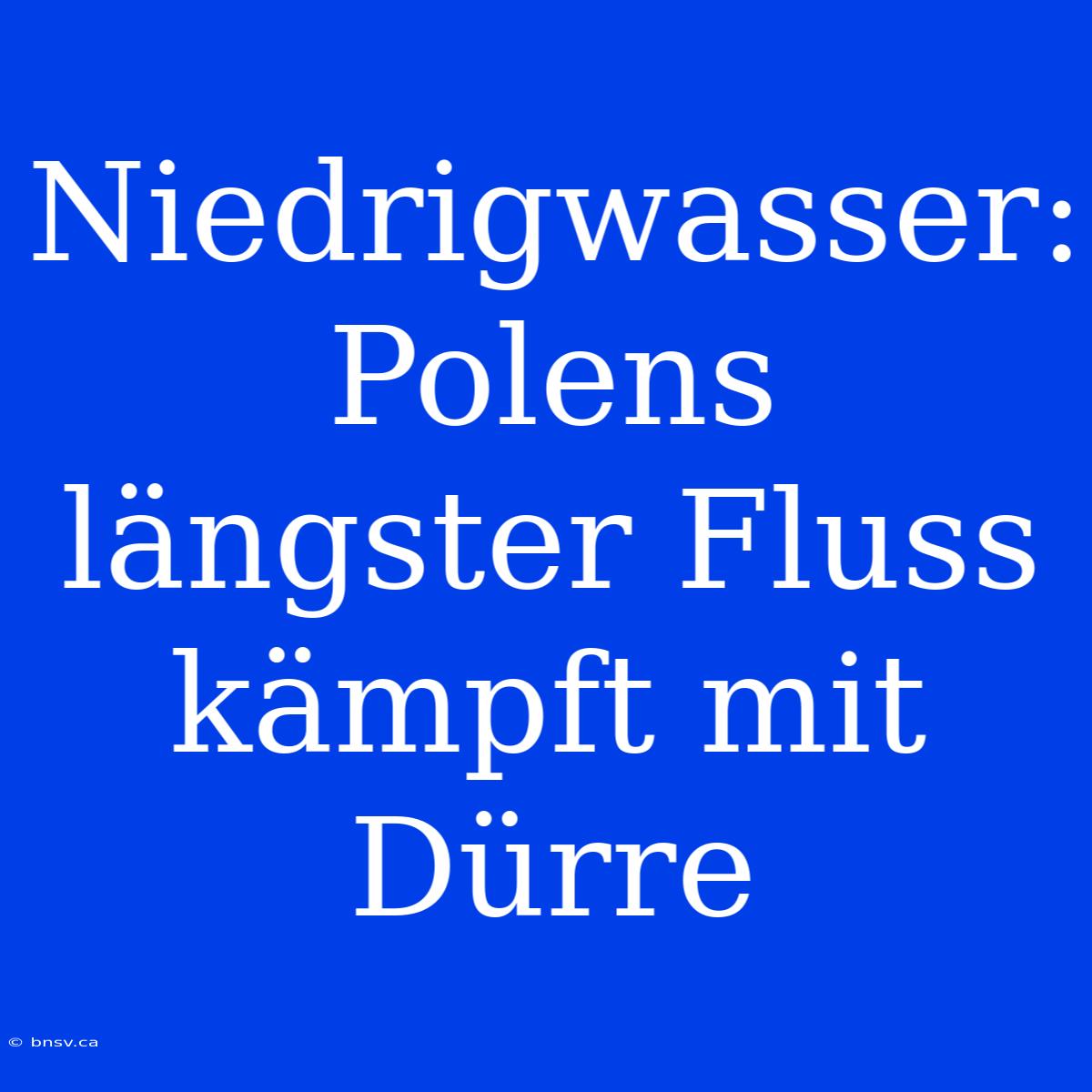 Niedrigwasser: Polens Längster Fluss Kämpft Mit Dürre