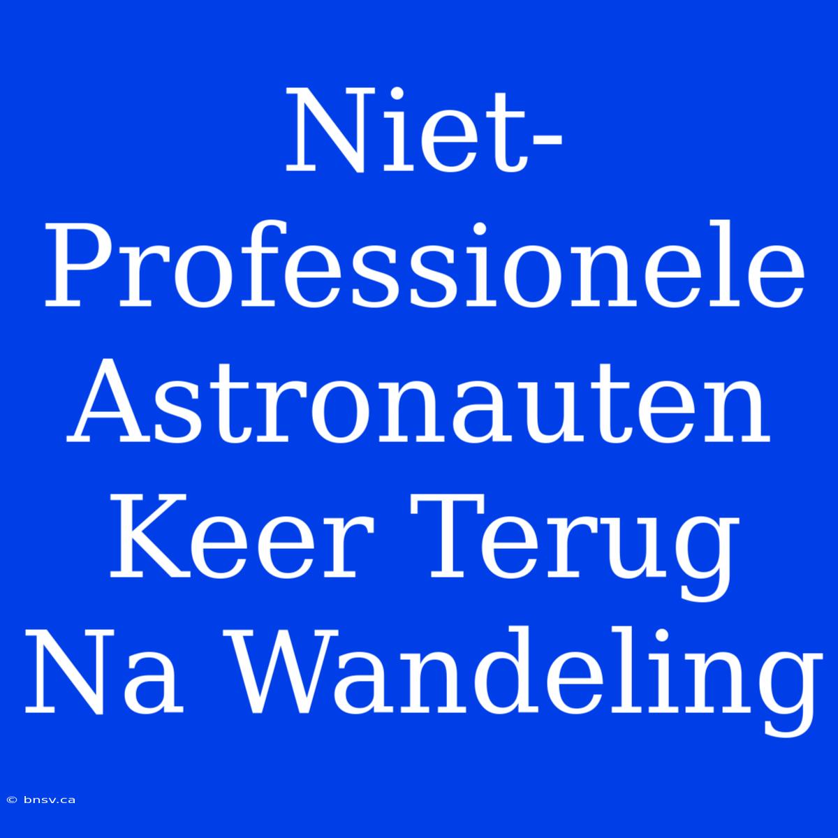 Niet-Professionele Astronauten Keer Terug Na Wandeling