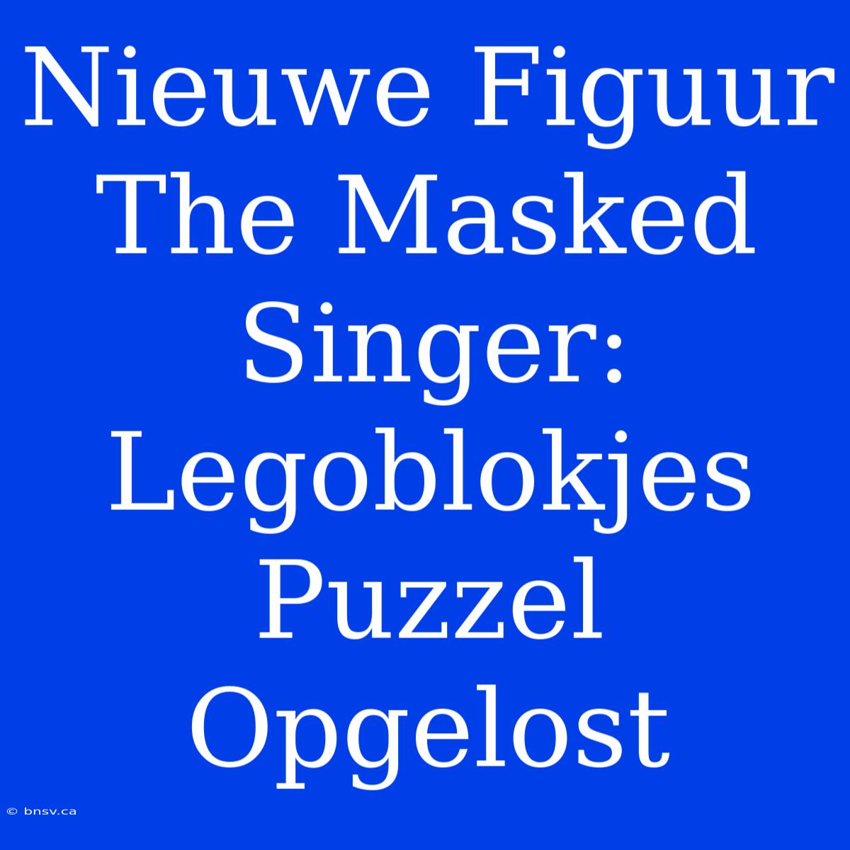 Nieuwe Figuur The Masked Singer: Legoblokjes Puzzel Opgelost