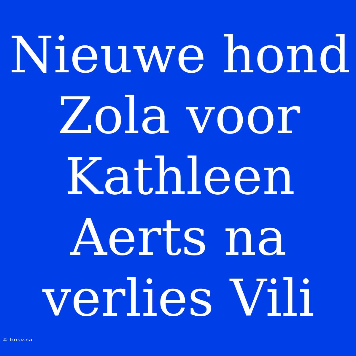 Nieuwe Hond Zola Voor Kathleen Aerts Na Verlies Vili