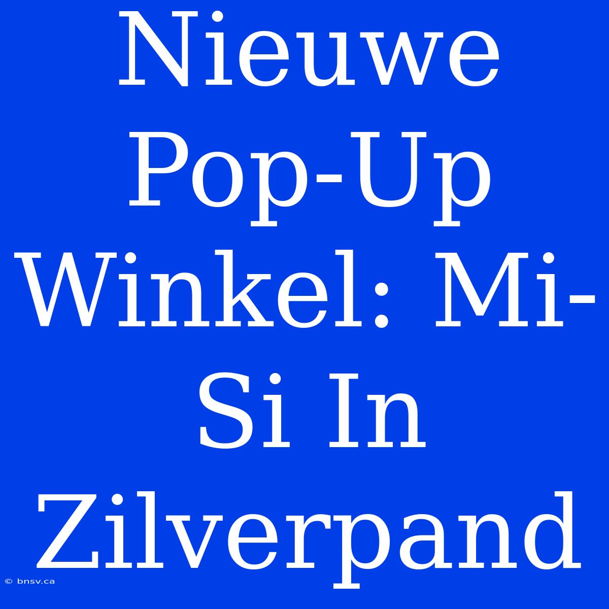 Nieuwe Pop-Up Winkel: Mi-Si In Zilverpand