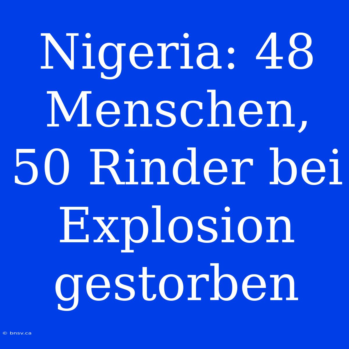 Nigeria: 48 Menschen, 50 Rinder Bei Explosion Gestorben