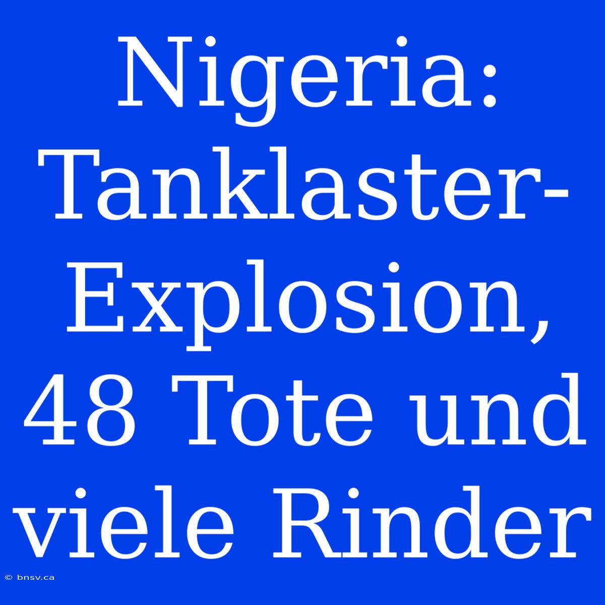 Nigeria: Tanklaster-Explosion, 48 Tote Und Viele Rinder