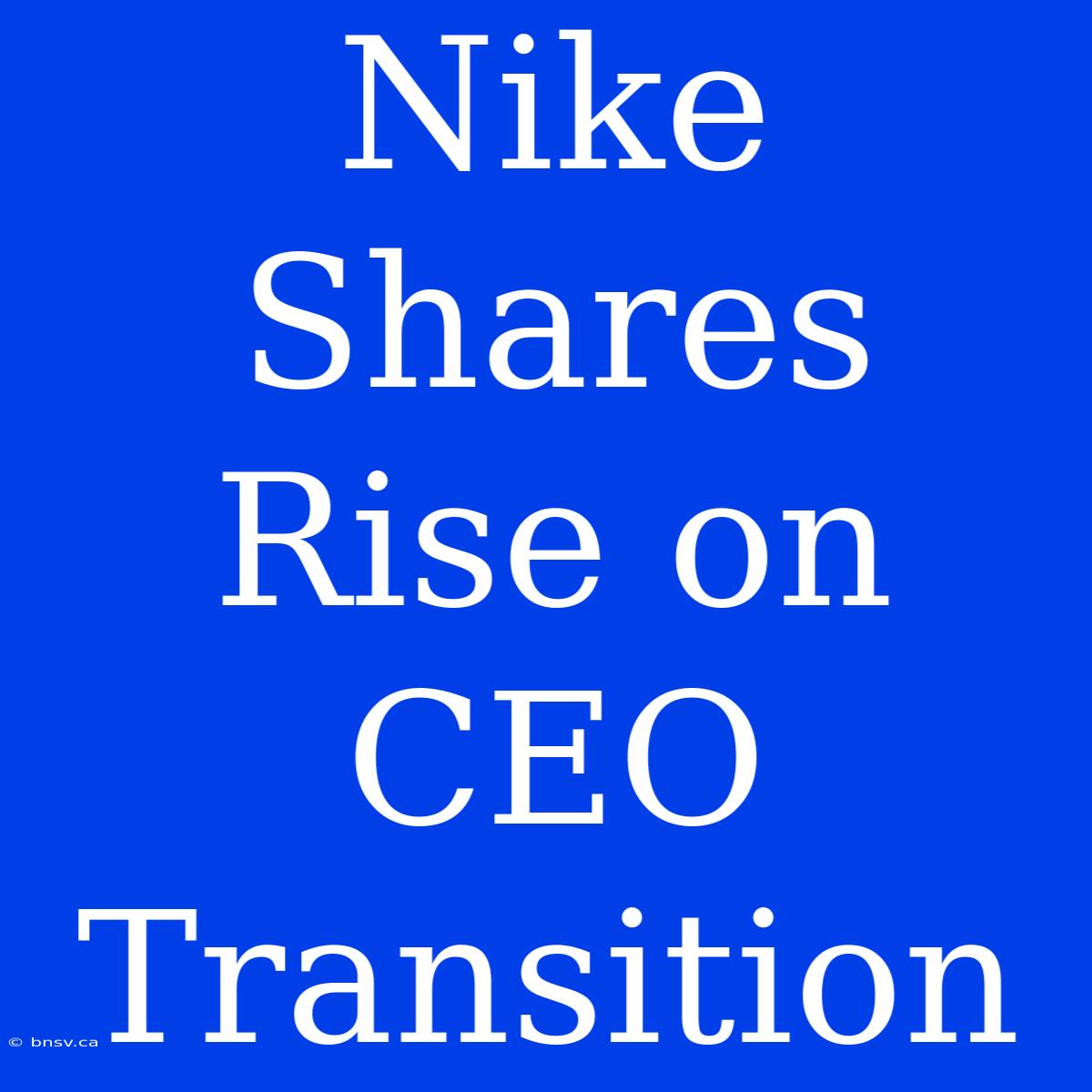 Nike Shares Rise On CEO Transition