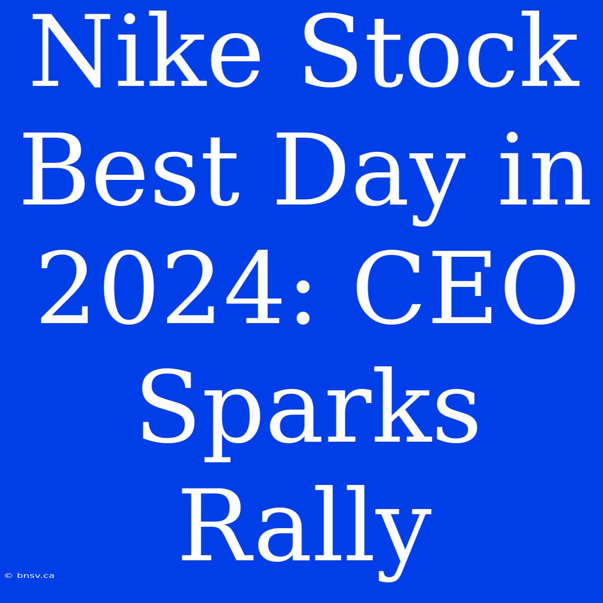 Nike Stock Best Day In 2024: CEO Sparks Rally