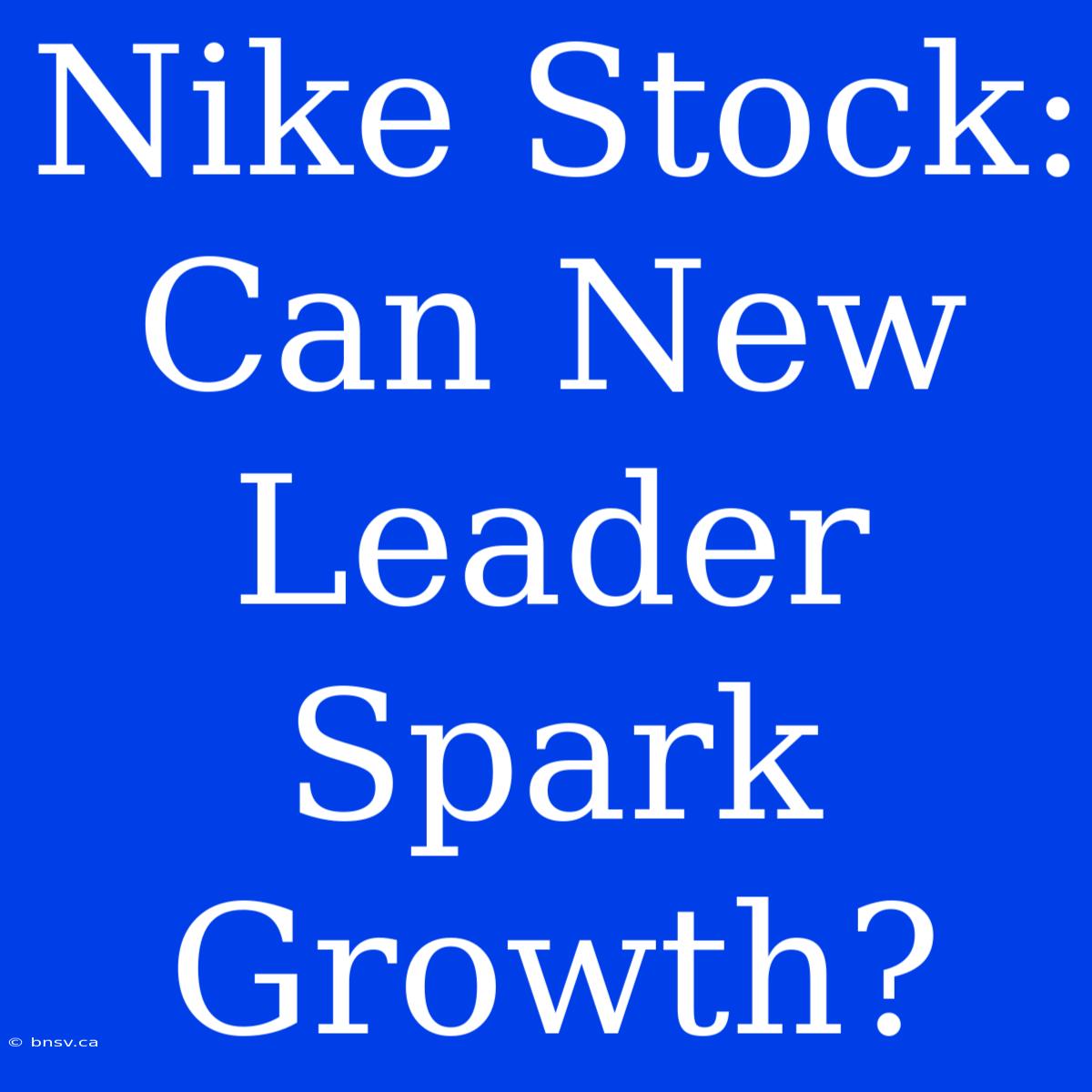 Nike Stock: Can New Leader Spark Growth?