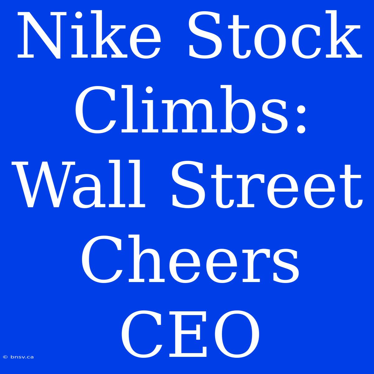 Nike Stock Climbs: Wall Street Cheers CEO