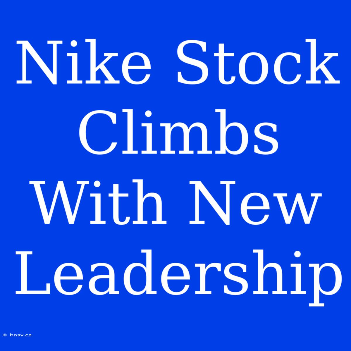 Nike Stock Climbs With New Leadership