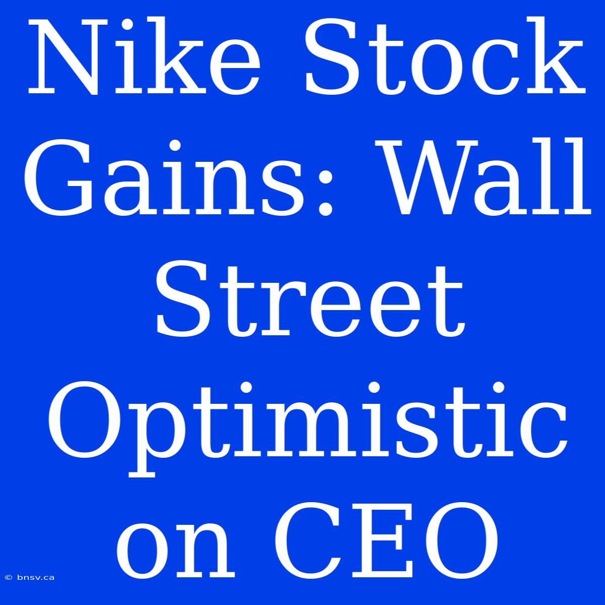 Nike Stock Gains: Wall Street Optimistic On CEO