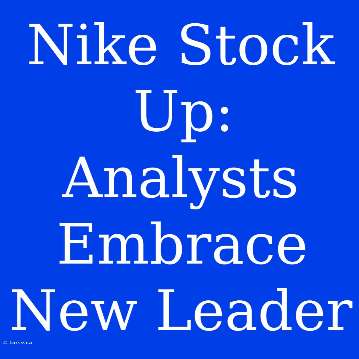 Nike Stock Up: Analysts Embrace New Leader