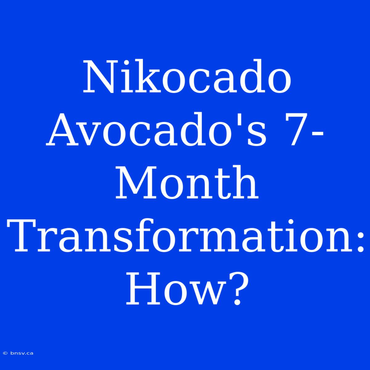 Nikocado Avocado's 7-Month Transformation: How?