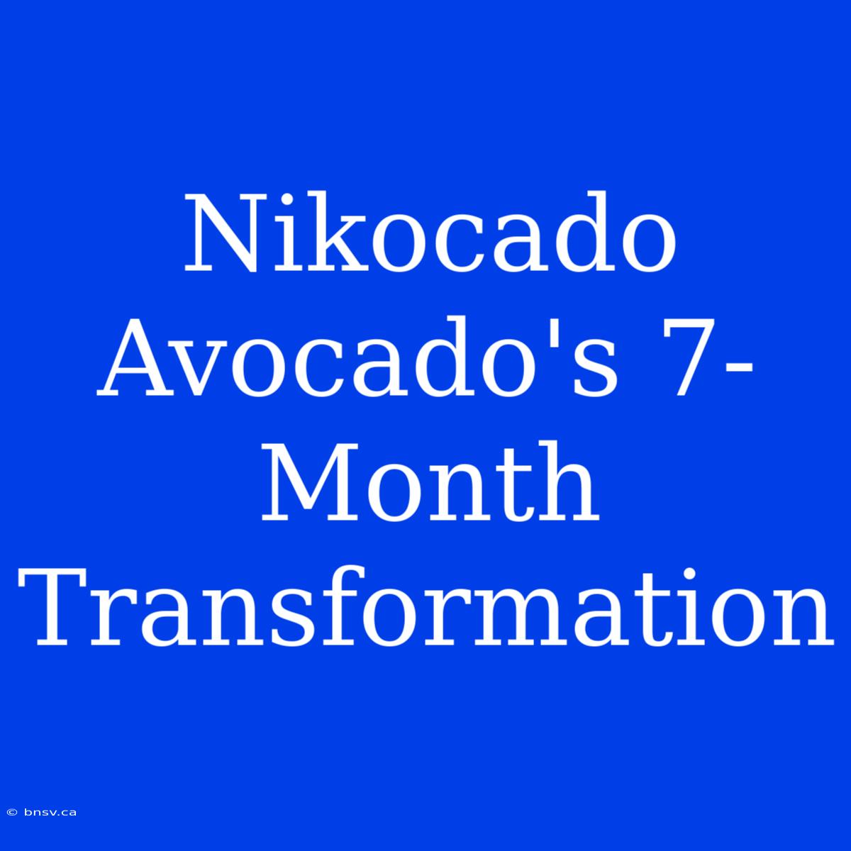 Nikocado Avocado's 7-Month Transformation