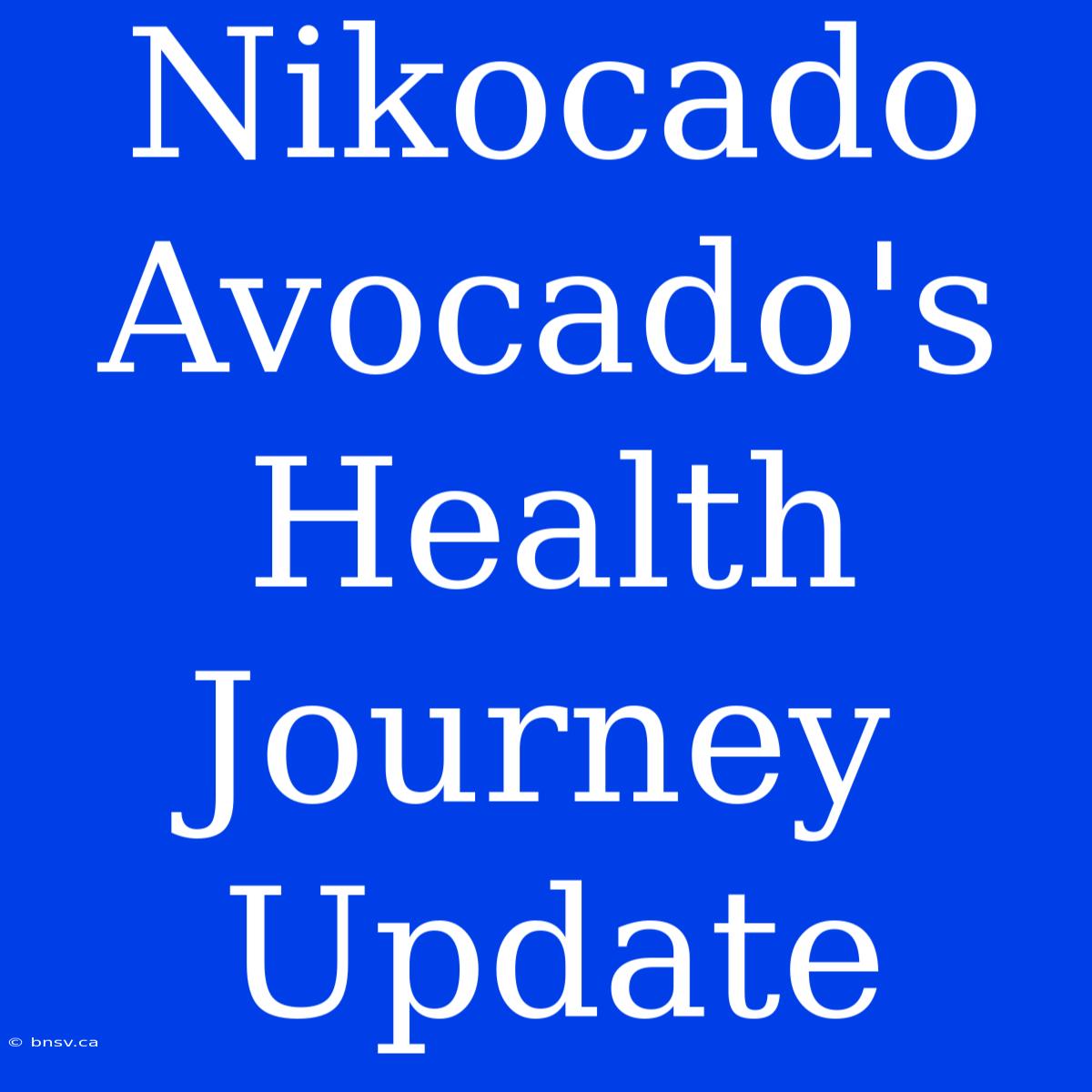 Nikocado Avocado's Health Journey Update