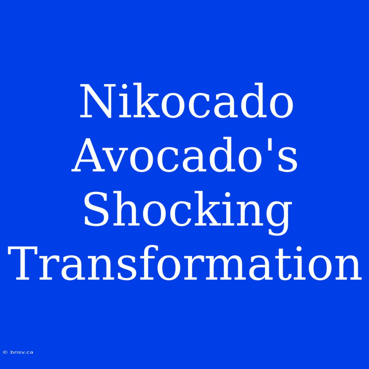 Nikocado Avocado's Shocking Transformation