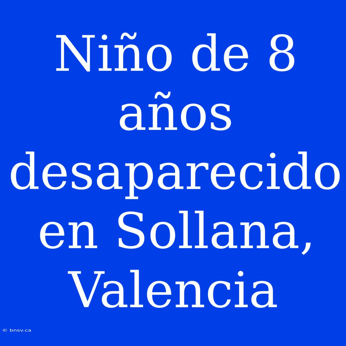 Niño De 8 Años Desaparecido En Sollana, Valencia