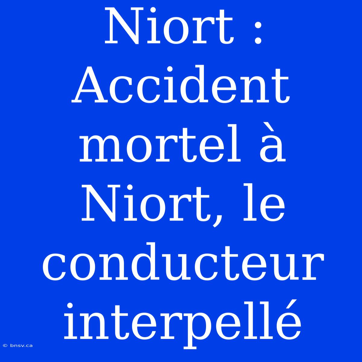 Niort : Accident Mortel À Niort, Le Conducteur Interpellé