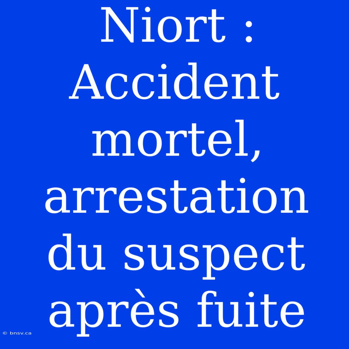 Niort : Accident Mortel, Arrestation Du Suspect Après Fuite