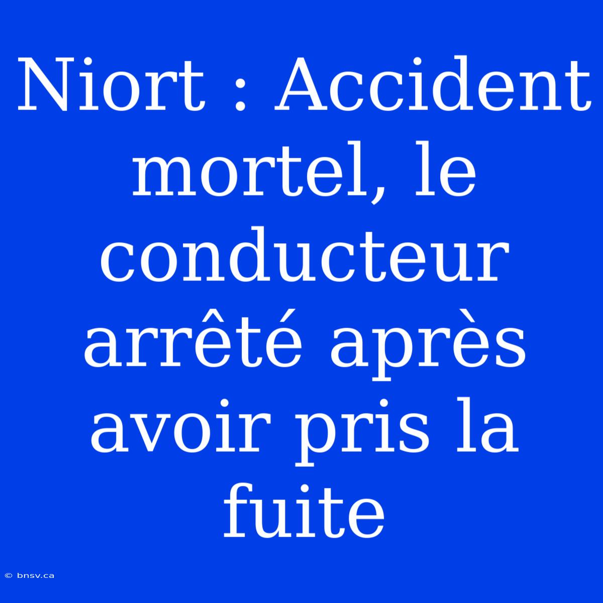 Niort : Accident Mortel, Le Conducteur Arrêté Après Avoir Pris La Fuite