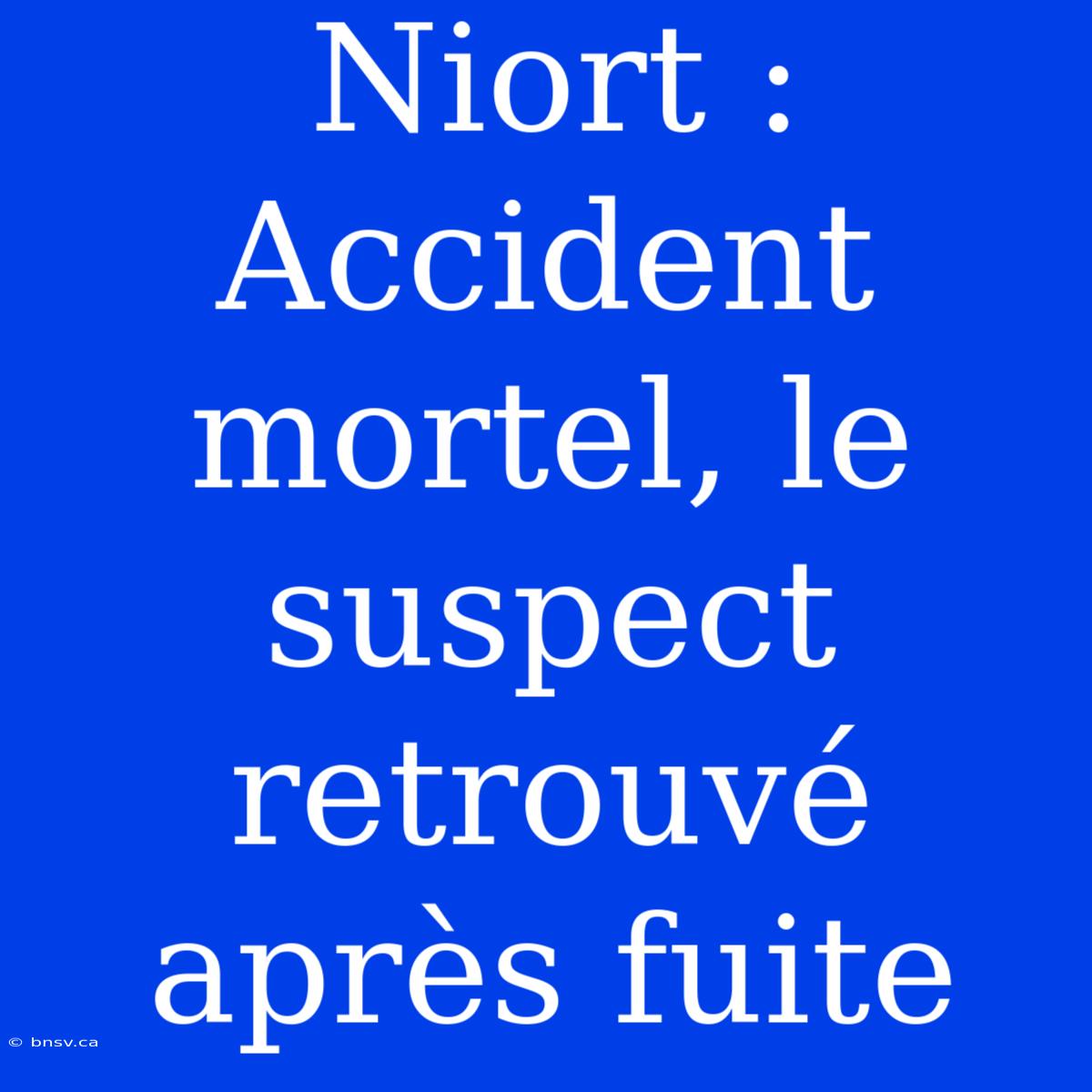 Niort : Accident Mortel, Le Suspect Retrouvé Après Fuite