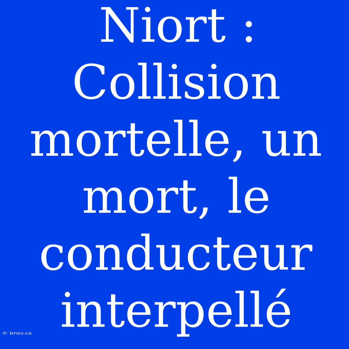 Niort : Collision Mortelle, Un Mort, Le Conducteur Interpellé