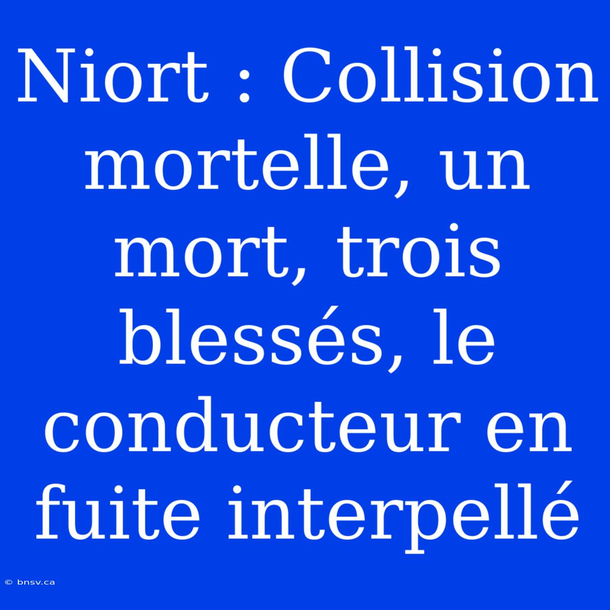 Niort : Collision Mortelle, Un Mort, Trois Blessés, Le Conducteur En Fuite Interpellé