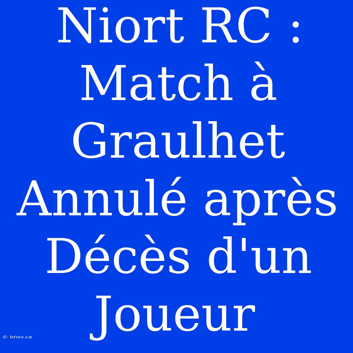 Niort RC : Match À Graulhet Annulé Après Décès D'un Joueur