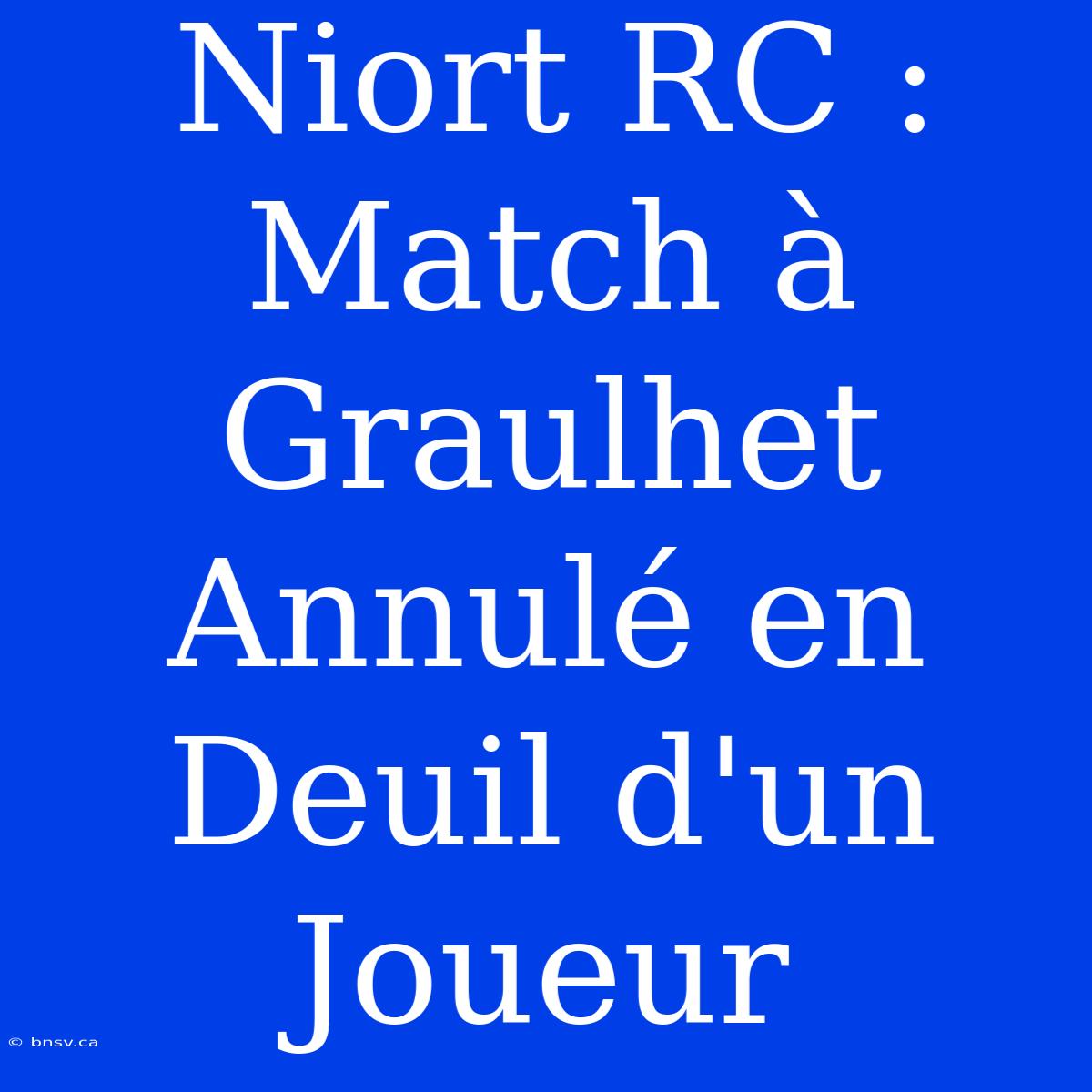 Niort RC : Match À Graulhet Annulé En Deuil D'un Joueur