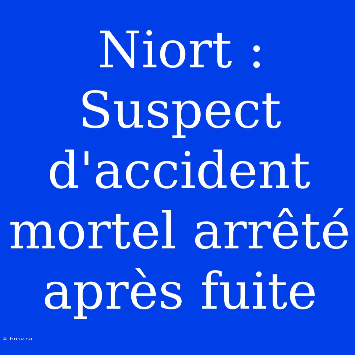 Niort : Suspect D'accident Mortel Arrêté Après Fuite