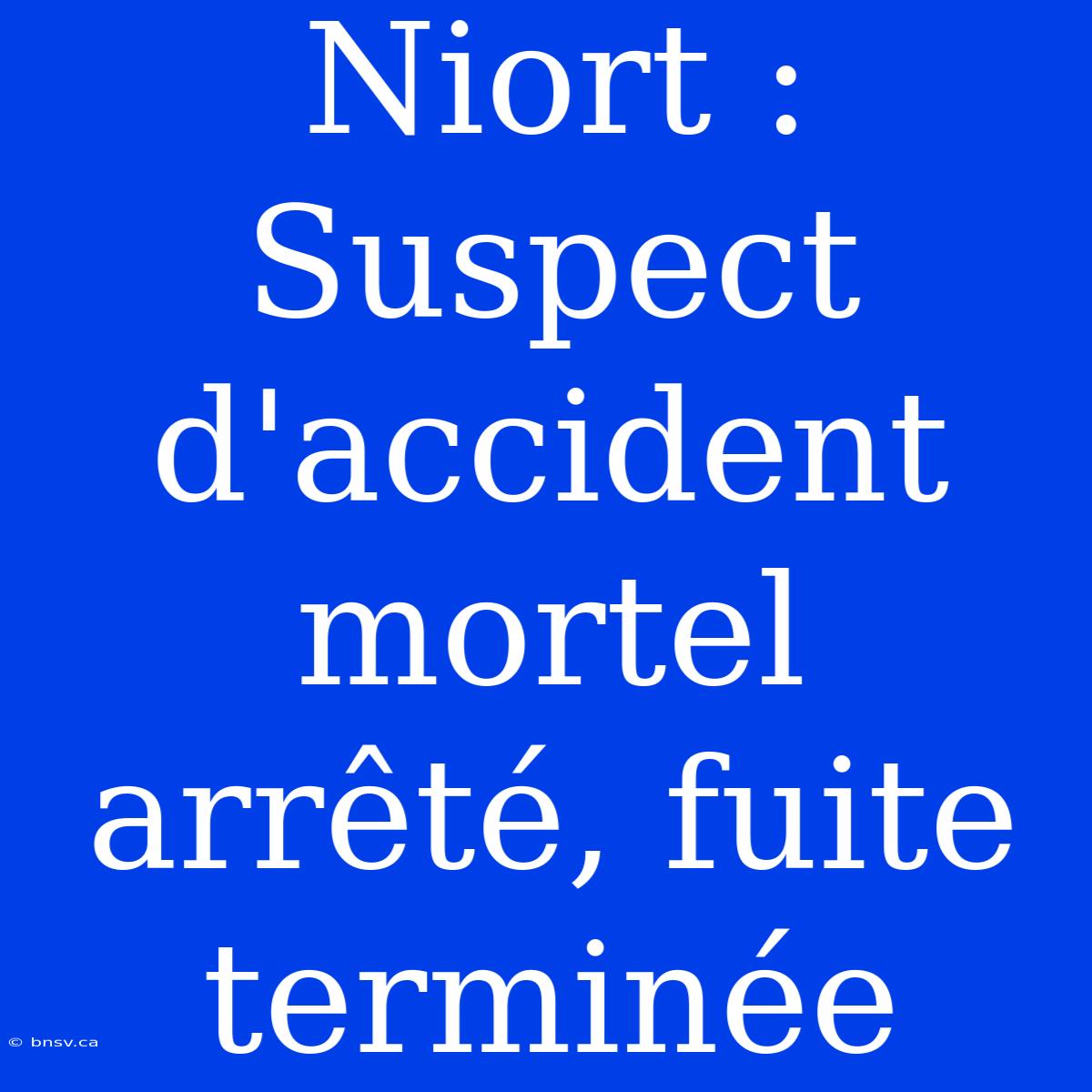 Niort : Suspect D'accident Mortel Arrêté, Fuite Terminée