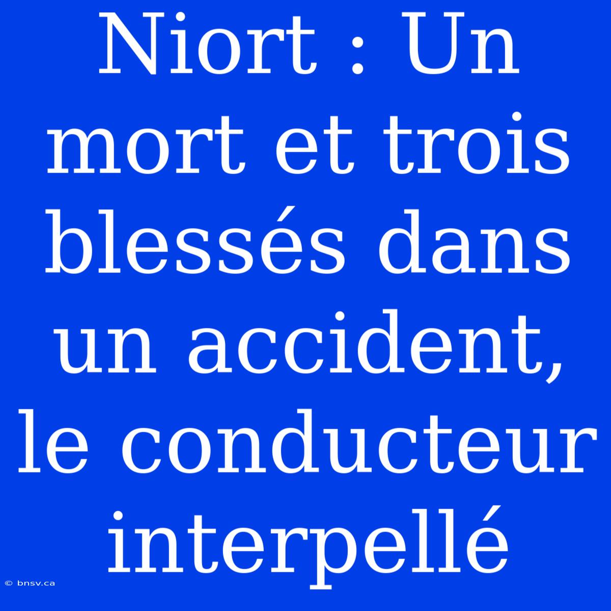 Niort : Un Mort Et Trois Blessés Dans Un Accident, Le Conducteur Interpellé