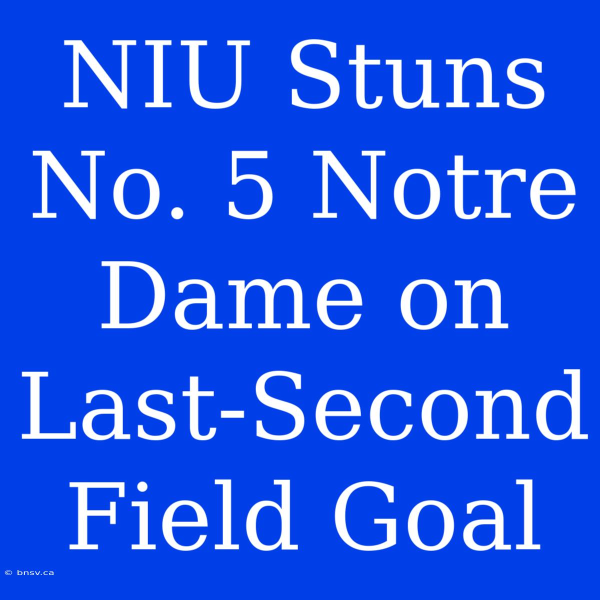 NIU Stuns No. 5 Notre Dame On Last-Second Field Goal