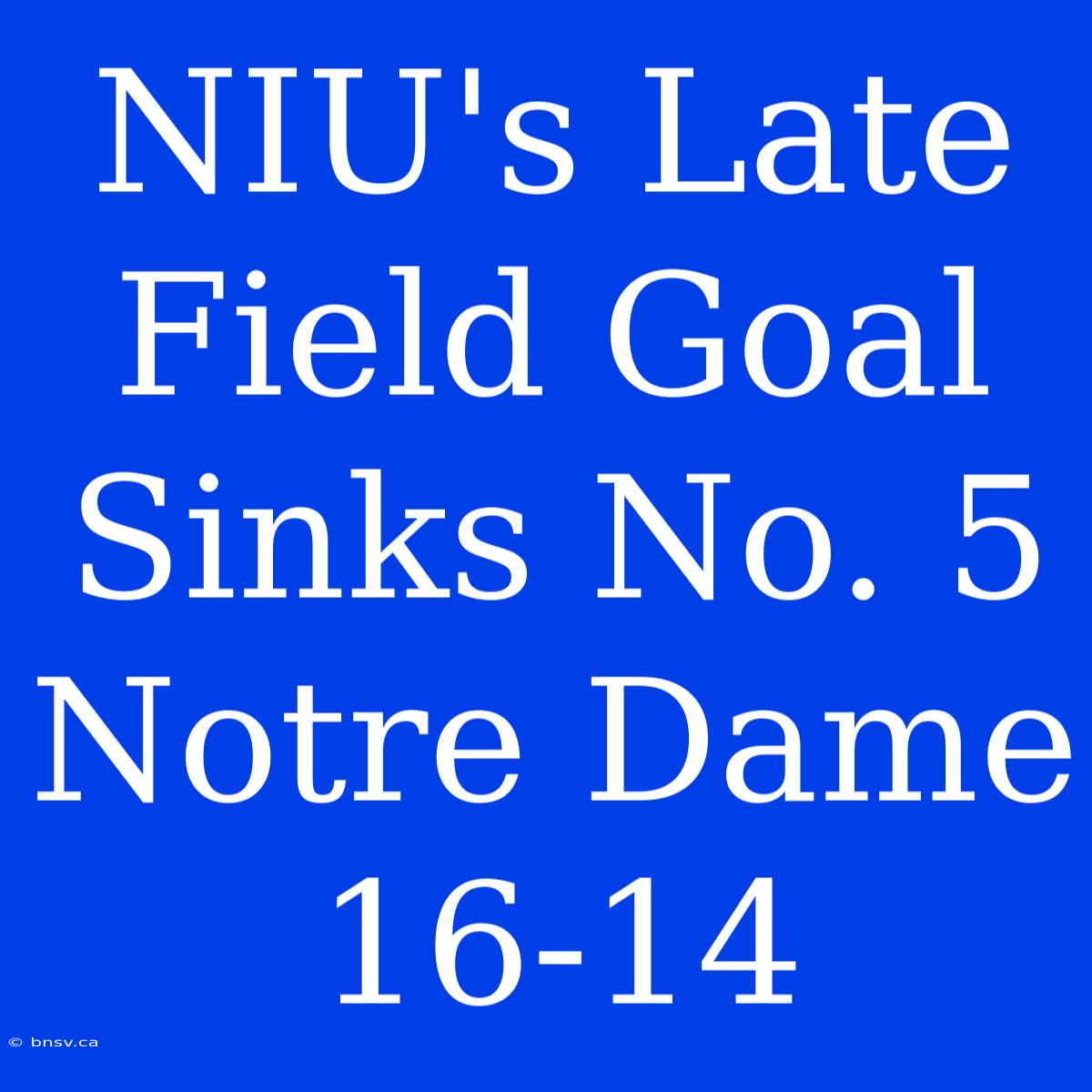 NIU's Late Field Goal Sinks No. 5 Notre Dame 16-14