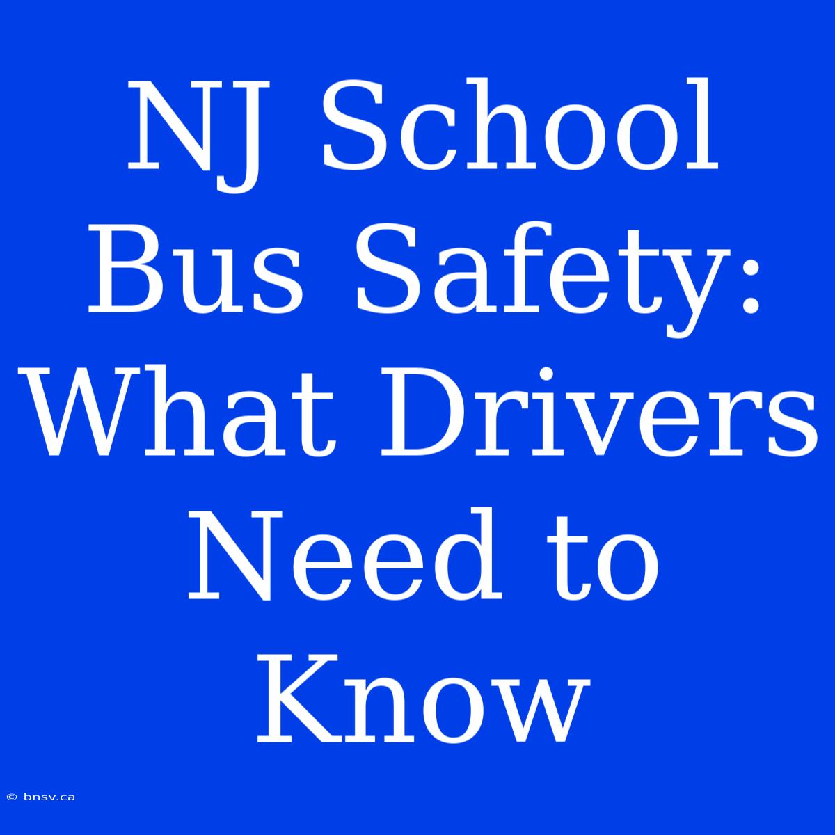 NJ School Bus Safety: What Drivers Need To Know