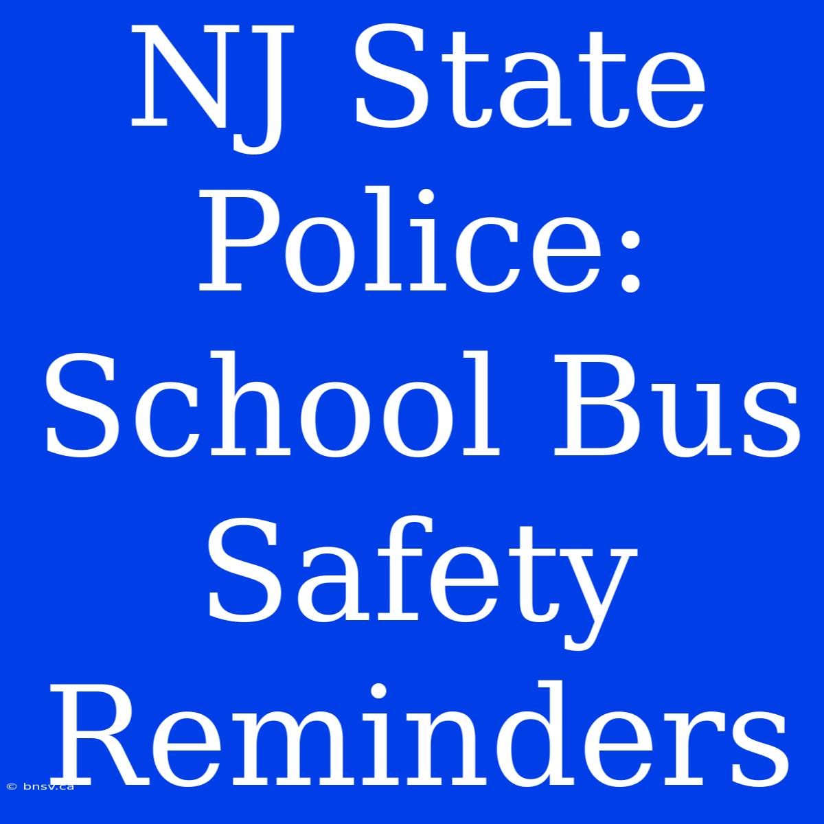 NJ State Police: School Bus Safety Reminders