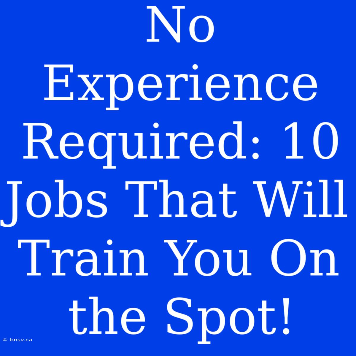 No Experience Required: 10 Jobs That Will Train You On The Spot!