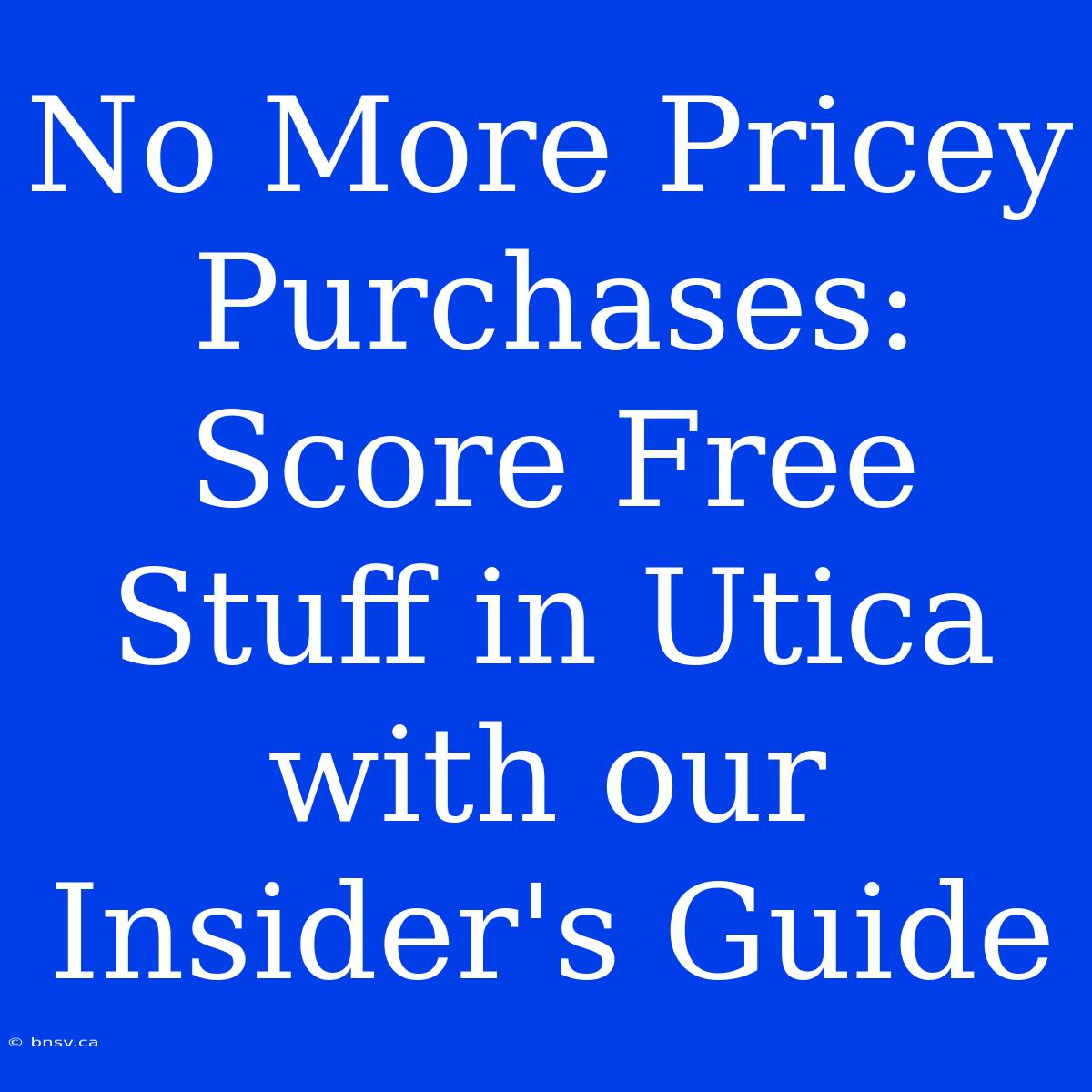 No More Pricey Purchases: Score Free Stuff In Utica With Our Insider's Guide