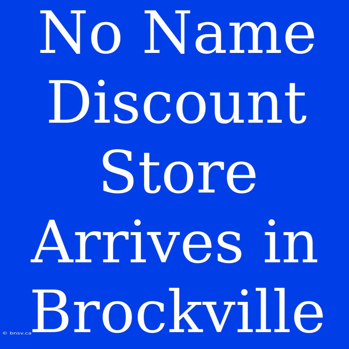 No Name Discount Store Arrives In Brockville