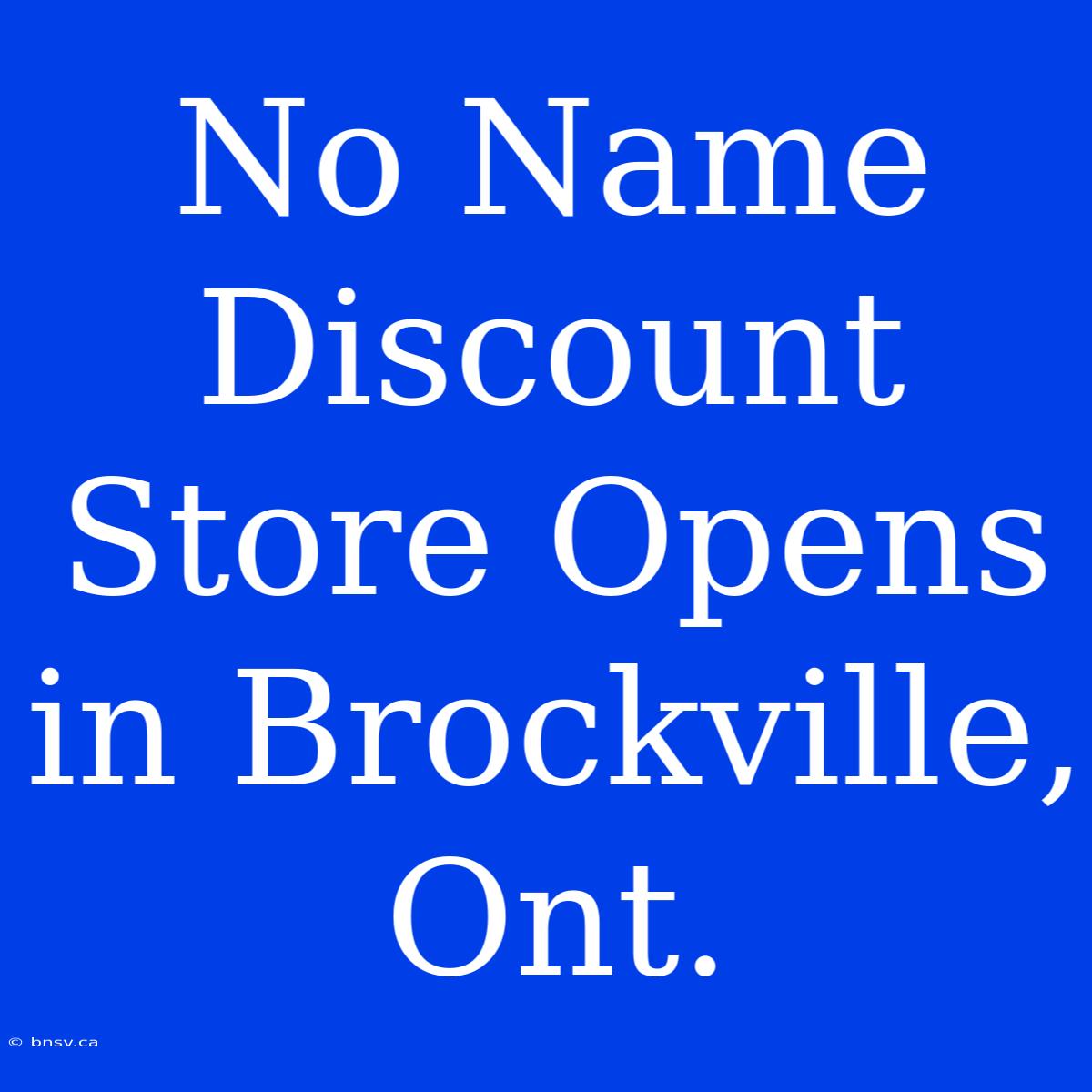 No Name Discount Store Opens In Brockville, Ont.