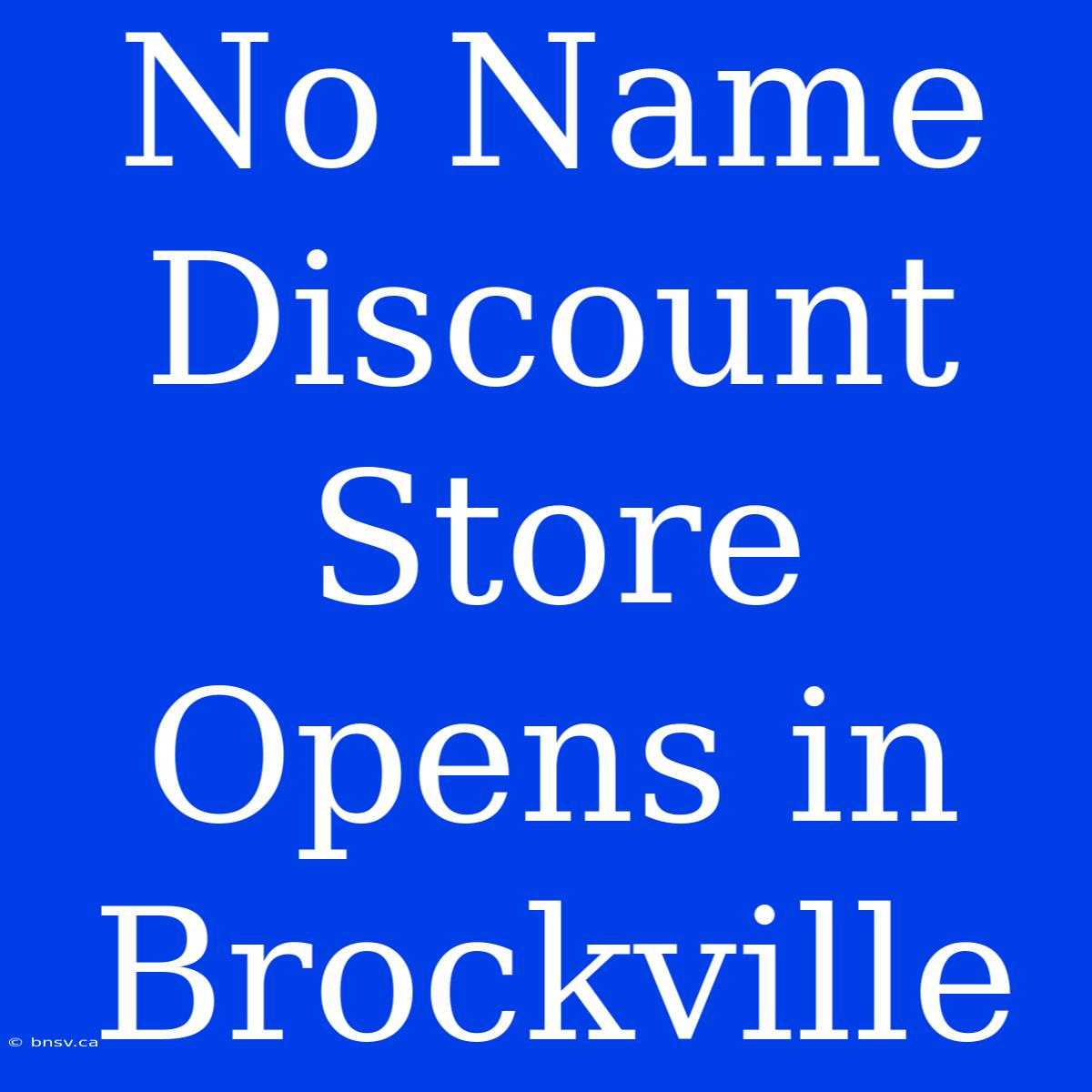 No Name Discount Store Opens In Brockville