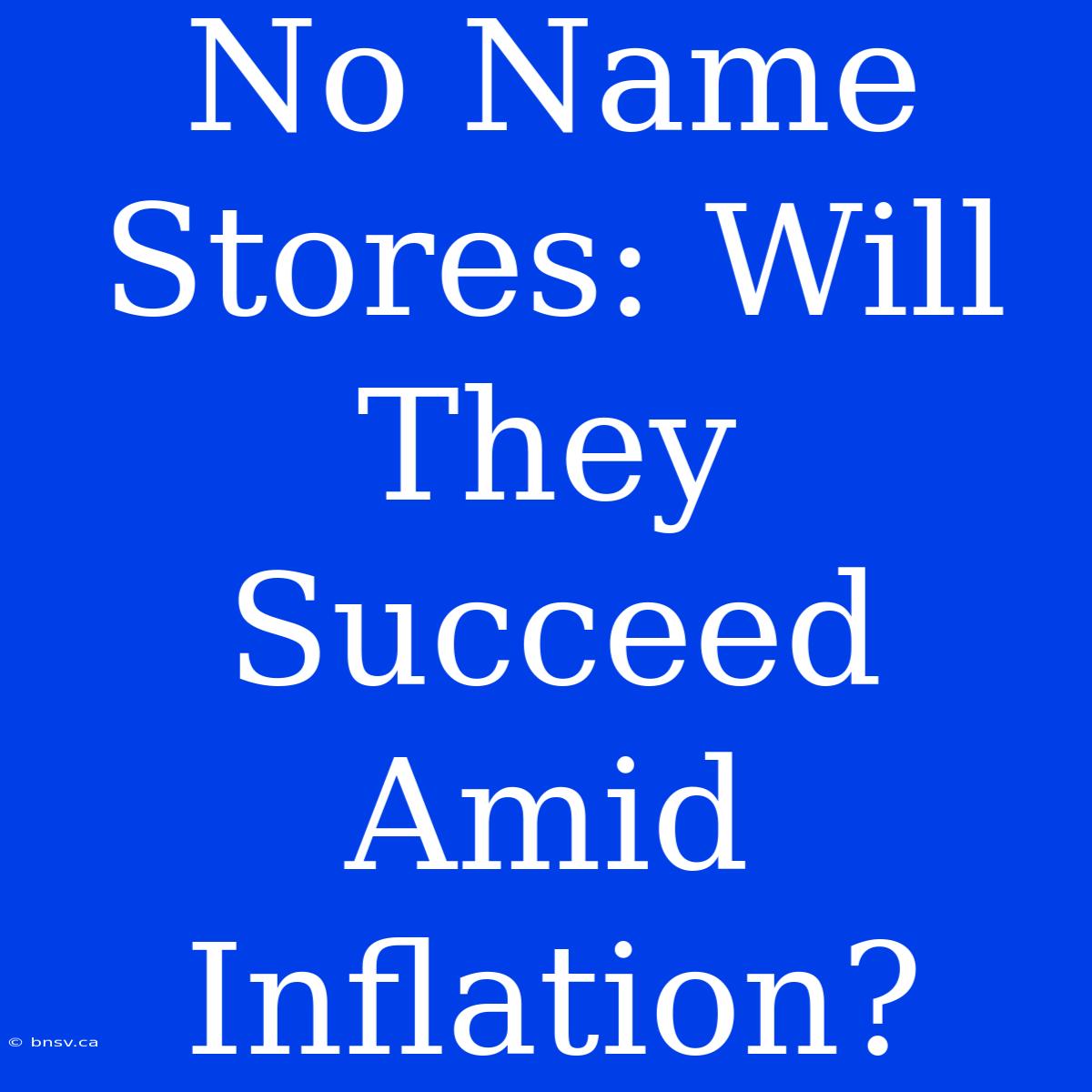 No Name Stores: Will They Succeed Amid Inflation?