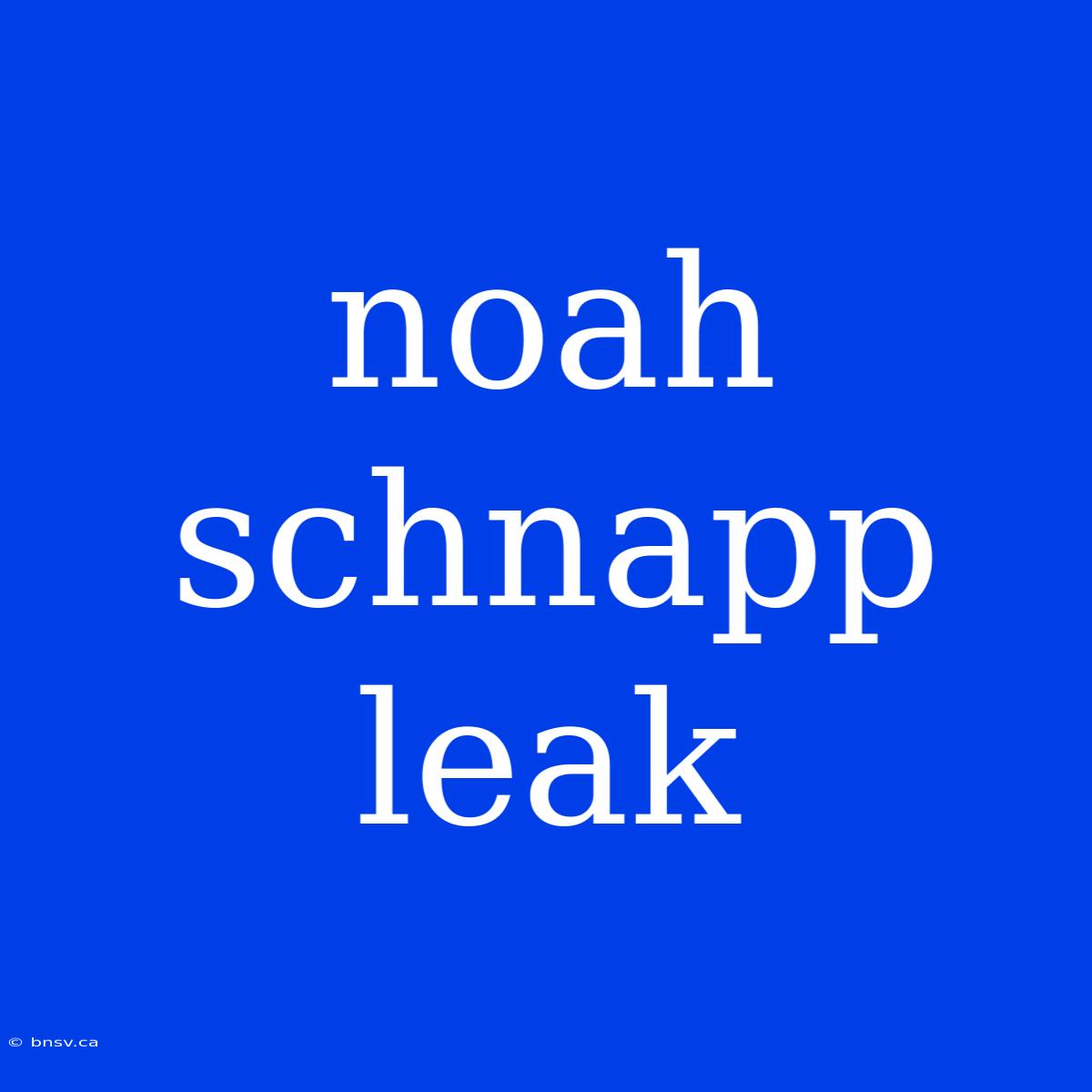 Noah Schnapp Leak