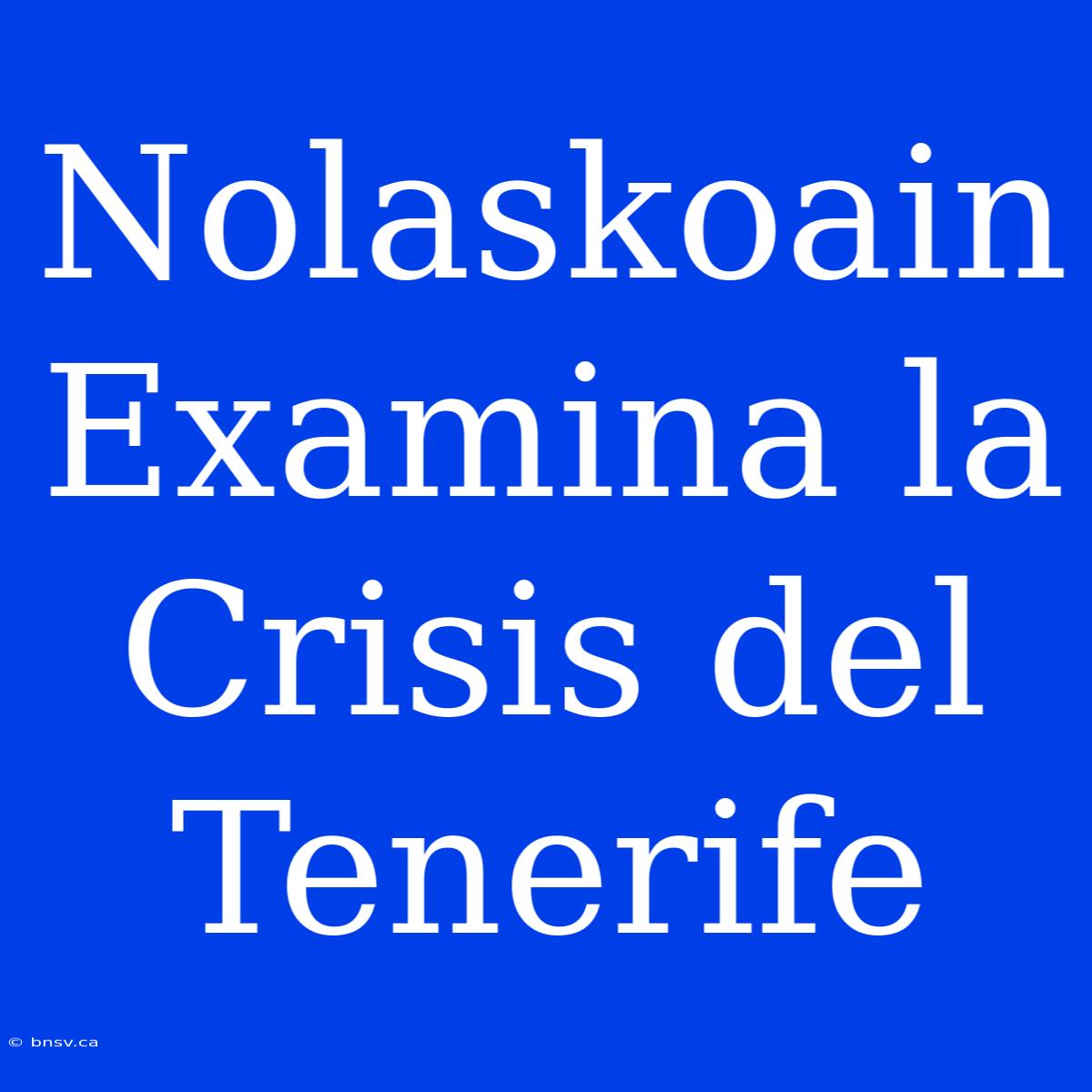 Nolaskoain Examina La Crisis Del Tenerife