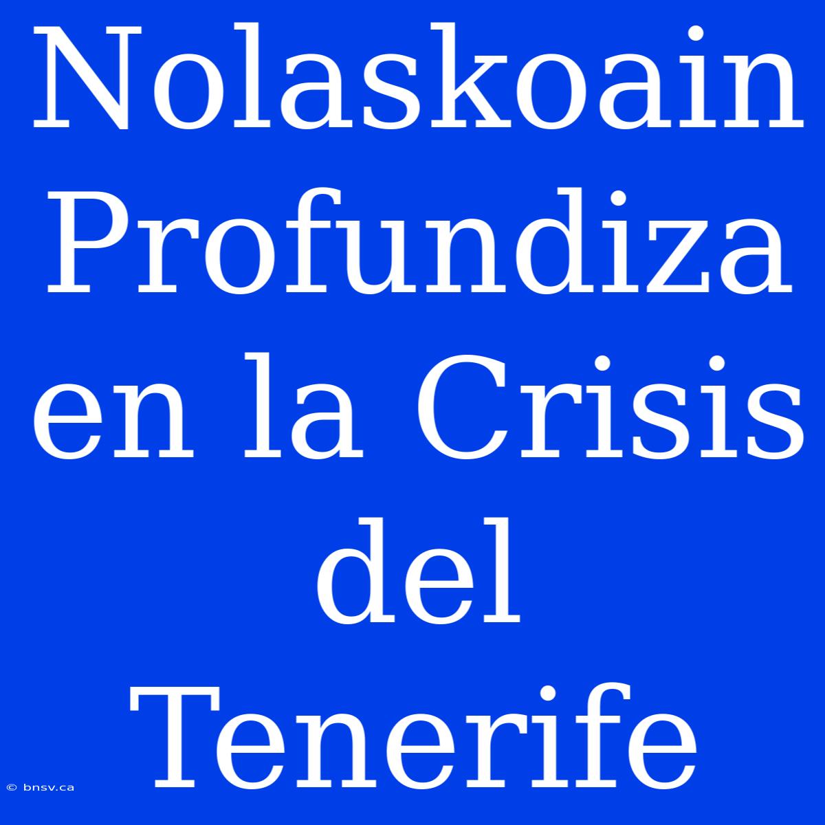 Nolaskoain Profundiza En La Crisis Del Tenerife