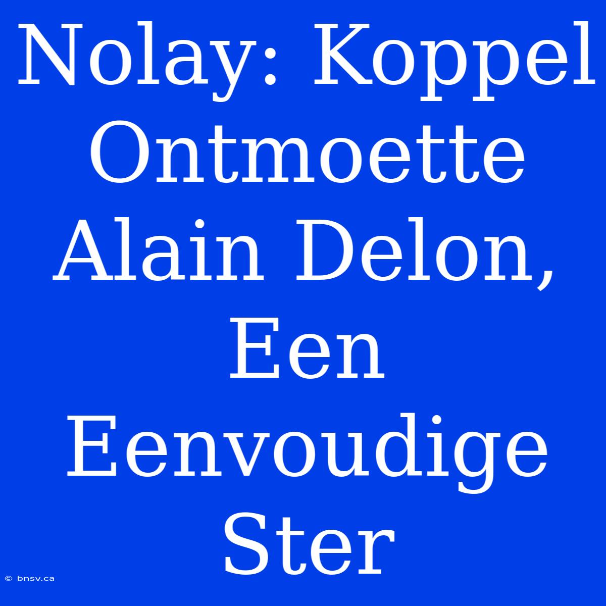 Nolay: Koppel Ontmoette Alain Delon, Een Eenvoudige Ster